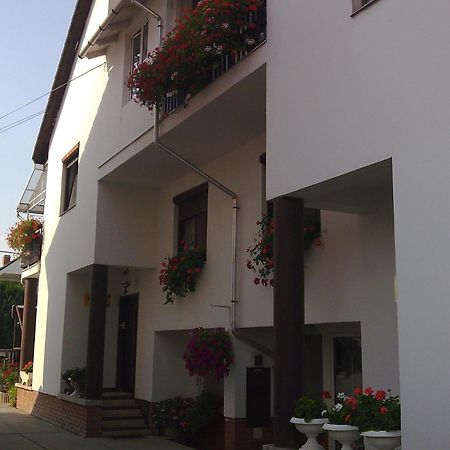 Anna Vendeghaz Bed & Breakfast Szeged Exterior photo