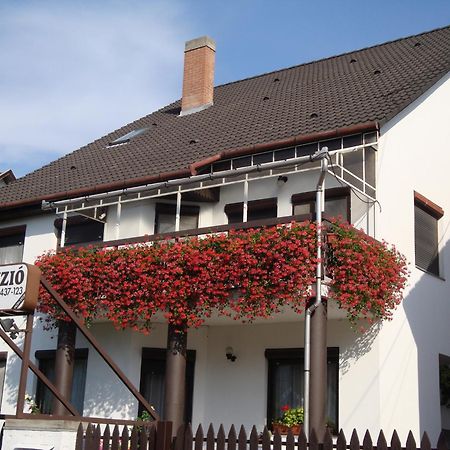 Anna Vendeghaz Bed & Breakfast Szeged Exterior photo