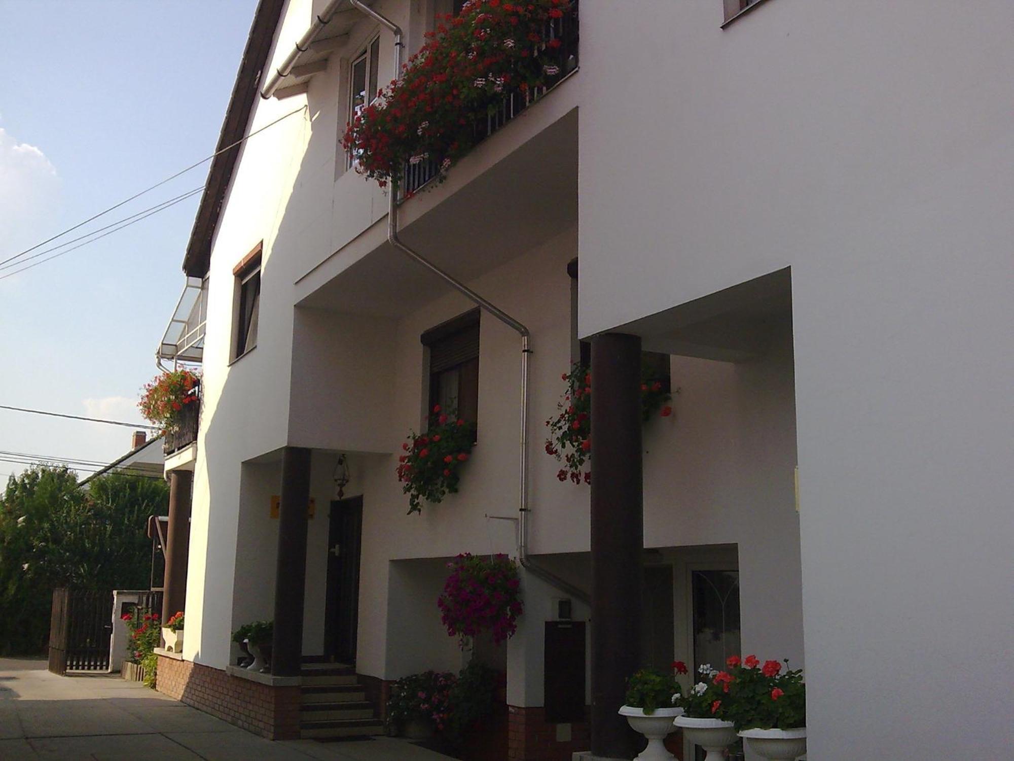 Anna Vendeghaz Bed & Breakfast Szeged Exterior photo